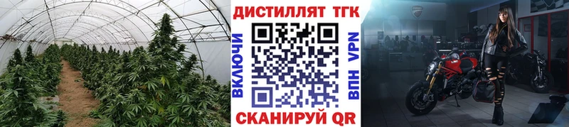 blacksprut сайт  Назрань  ТГК вейп 